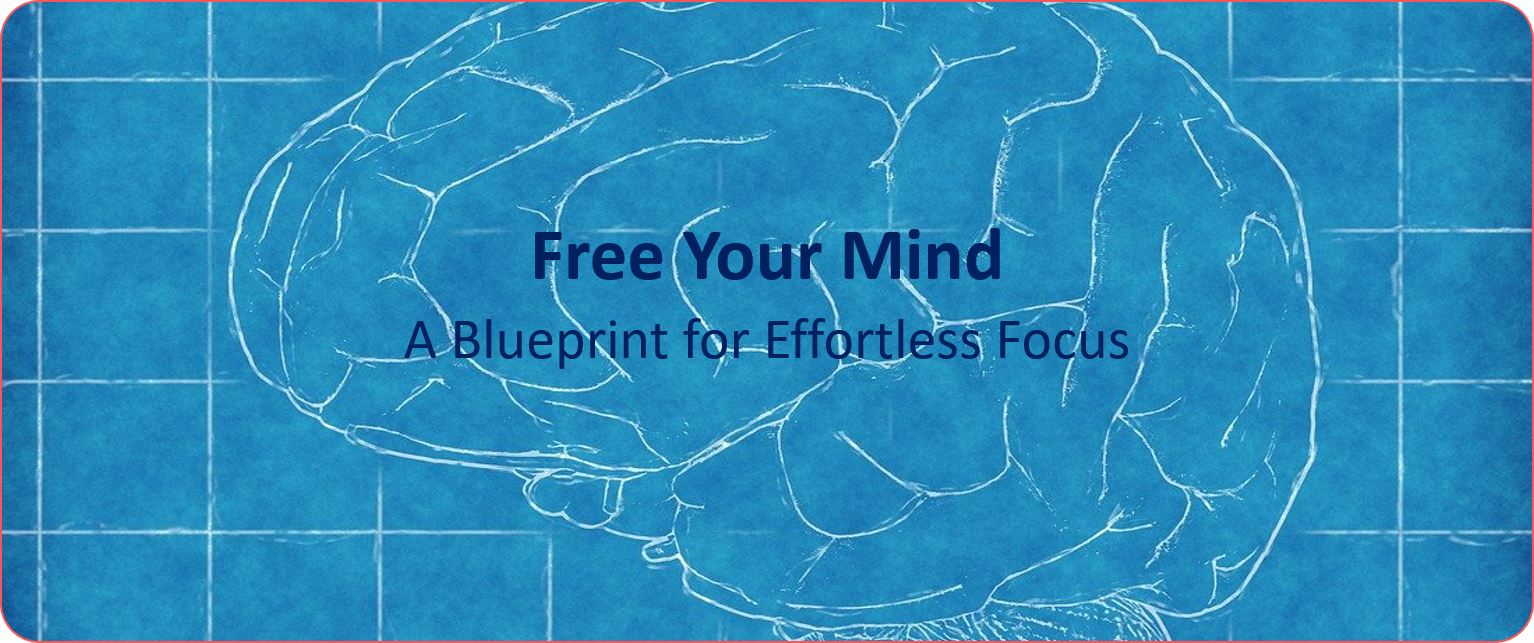 how to focus, improve focus, increase productivity, reclaim your focus, fight distractions, deep work, how to improve focus at work, how to stay focused on a task, ways to improve concentration, tips for staying productive, how to be productive and not just busy, reclaiming attention in the digital age, strategies to reduce distractions, how to build focus and concentration, time management, productivity hacks, work-life balance, mental clarity, flow state, procrastination, attention span, work environment, mindfulness for productivity, brain health, digital detox, beat distractions, build focus, manage energy, hack calendar, create rituals, master meetings, control technology, batch communications,