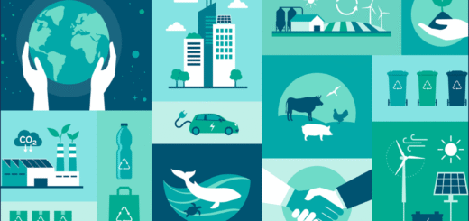 Sustainability as a Brand Strategy, Sustainable Business Bangladesh, ESG Investing Bangladesh, Corporate Social Responsibility vs. Sustainability, Green Brand Marketing Bangladesh, Sustainable Development Goals Bangladesh, Bangladeshi Green Factories, Consumer Trends Bangladesh 2024, Purpose-Driven Brands, Sustainable Finance Bangladesh